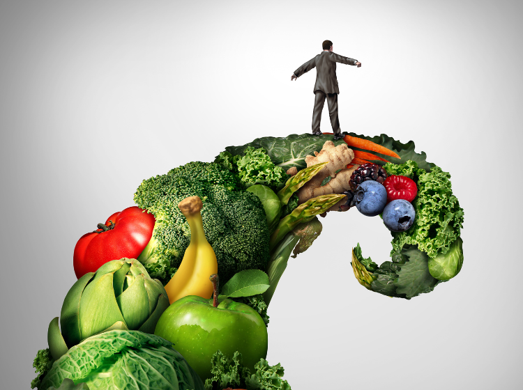 Words That Heal: The Rising Movement of Vegan Publishing and Humanity-Driven Literature